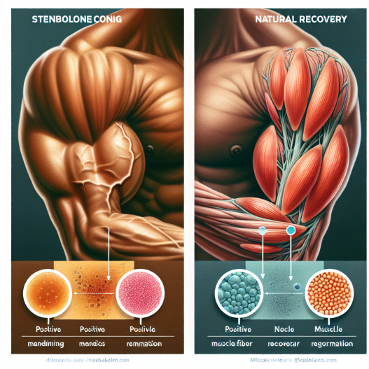 How stenbolone affects muscle recovery post-training