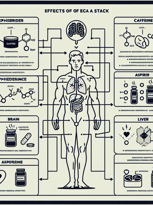 Delving into eca properties and effects on the body
