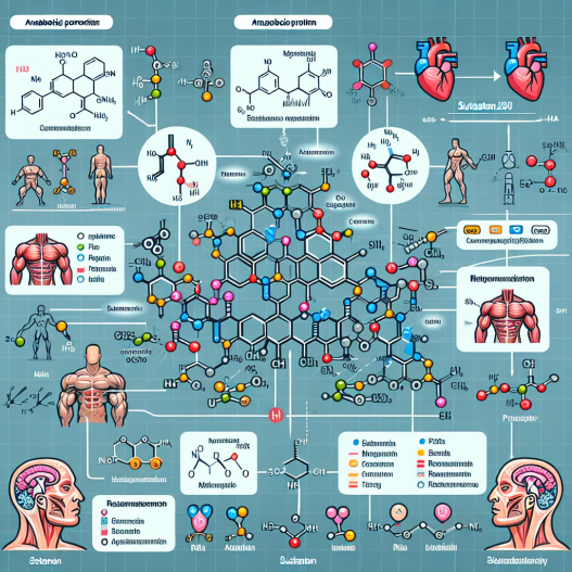 Sustanon 250: a deep dive into its anabolic properties