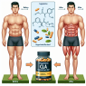 The effects of cla supplementation on body fat levels